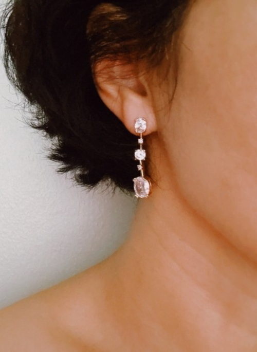 Brilliant Drop Earrings