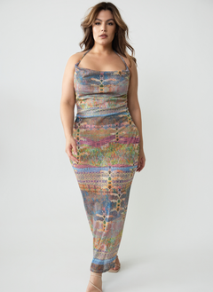 Emma Halter Printed Mesh Maxi Dress