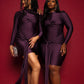 Eve Draped Mini Dress