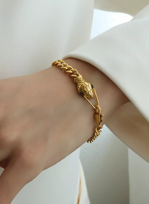 Titanium Steel Zircon Snake Bracelet