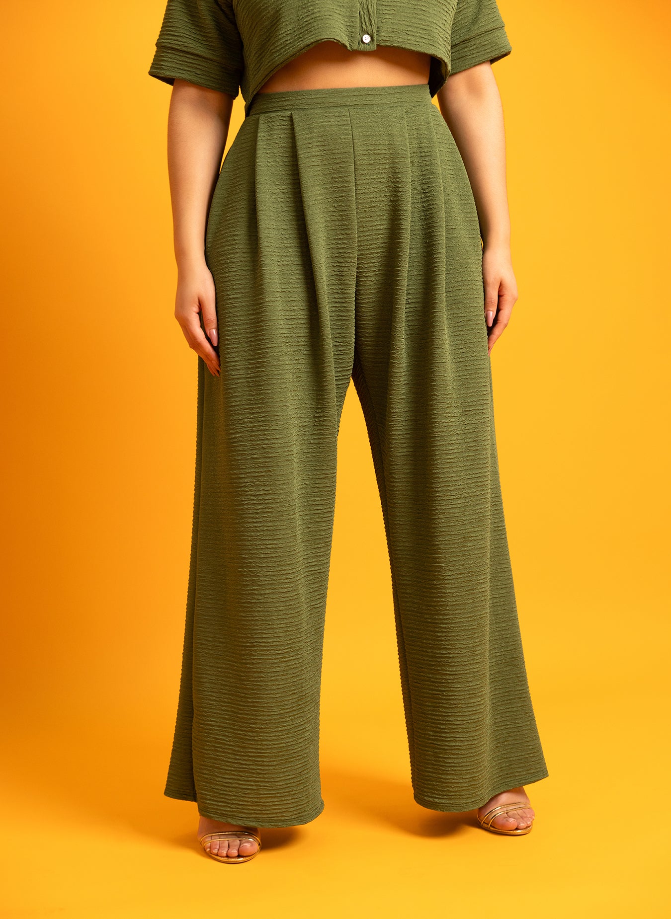 Tina Pleated Wide Leg Pants