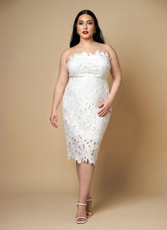 Wisteria Lace Midi Bodycon Dress