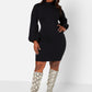 Black Confidential Turtleneck Mini Bodycon Dress Plus Sizes