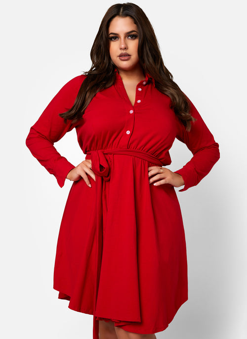 The Best Of Me Button Down Skater Mini Dress