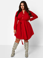 The Best Of Me Button Down Skater Mini Dress